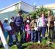 Permitirá renovar 2 mil árboles en San Antonio Permitirá renovar 2 mil árboles en San Antonio