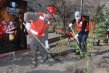 El Teniente celebra el Día de la Tierra con tres millones de árboles plantados en el área industrial El Teniente celebra el Día de la Tierra con tres millones de árboles plantados en el área industrial