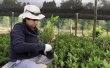 Vivero de El Teniente pinta de verde el entorno Vivero de El Teniente pinta de verde el entorno