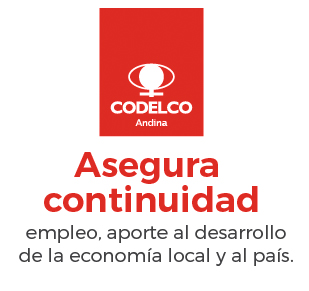 Gráfico Andina Codelco