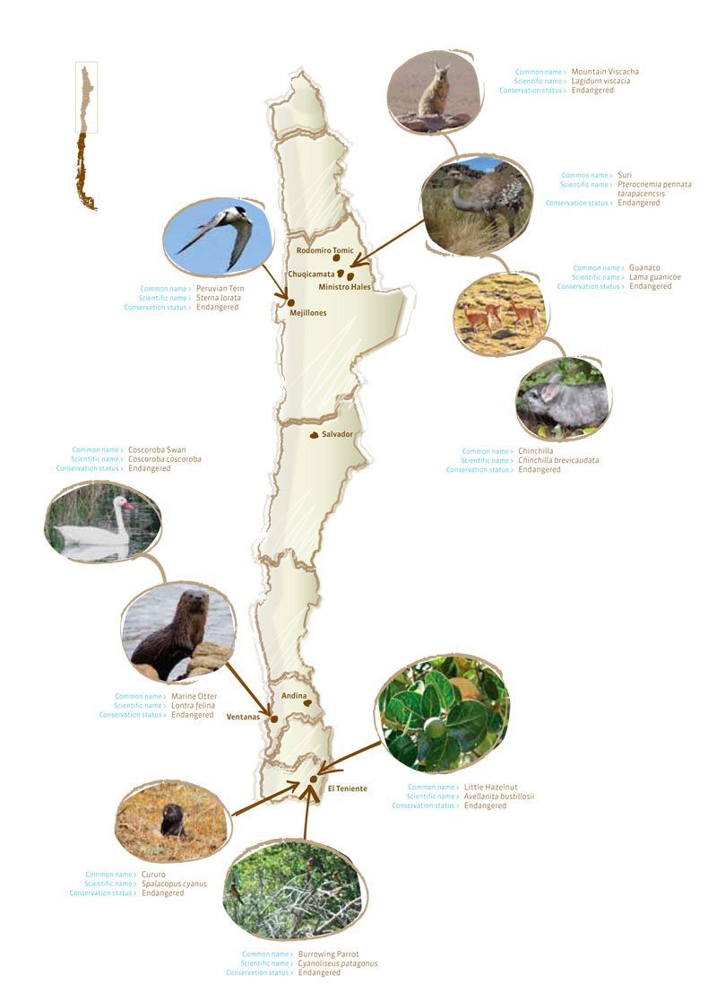 Mapa Biodiversidad