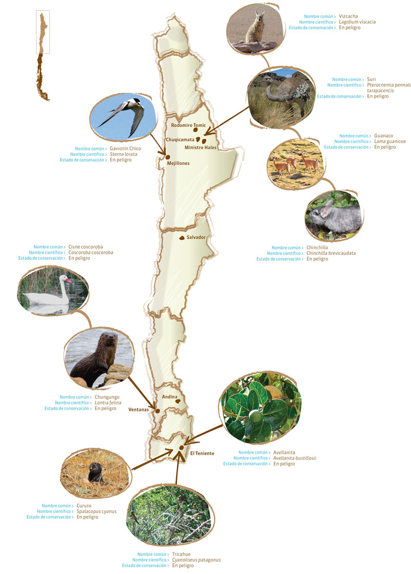 Mapa Biodiversidad