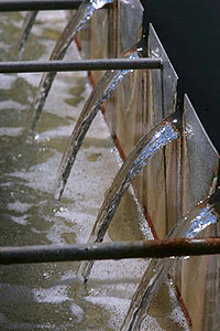 Imagen foto_01