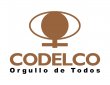 Codelco opera con normalidad Codelco opera con normalidad