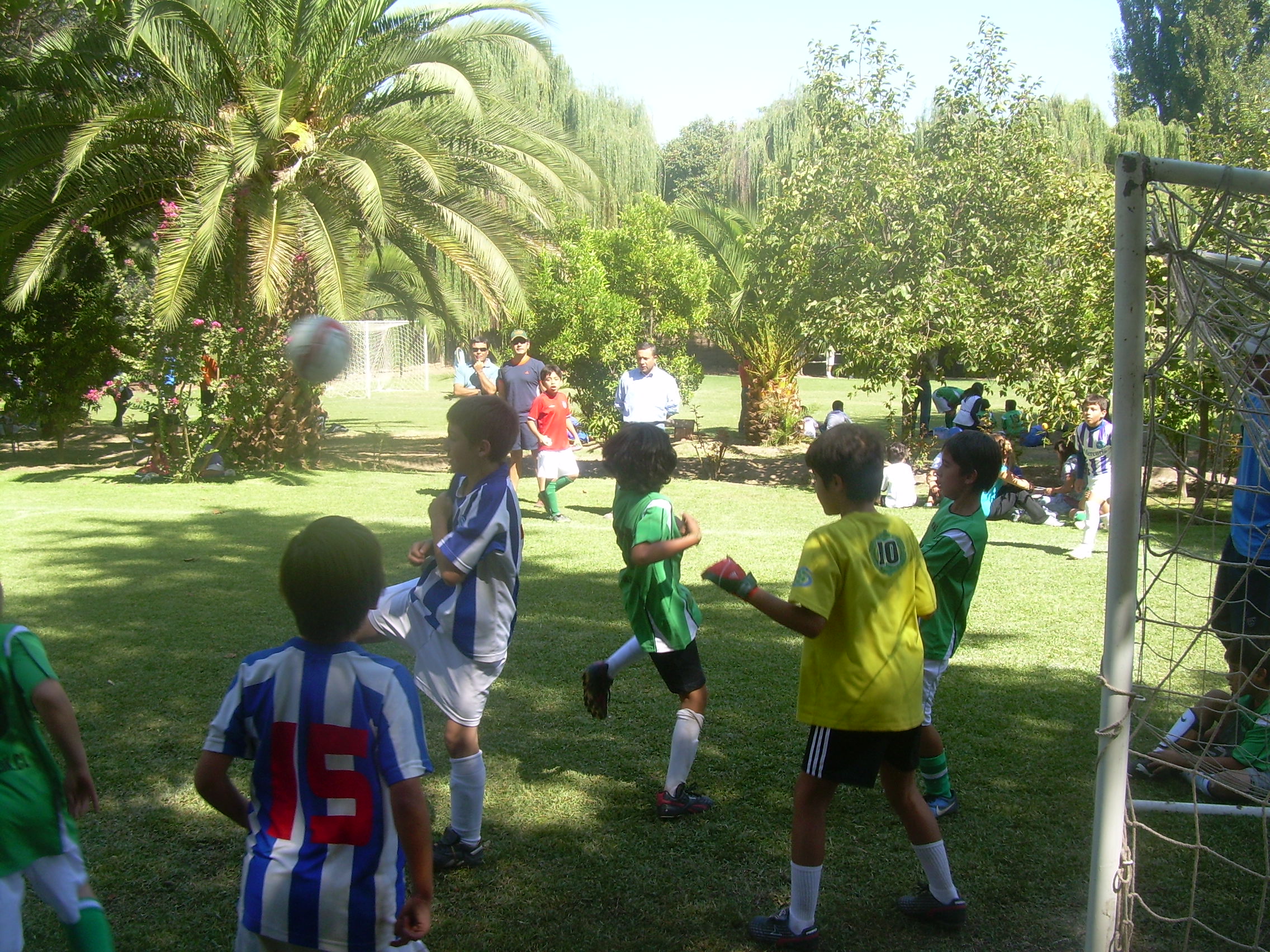 Imagen foto_00000002