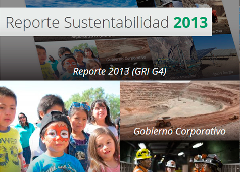 REPORTE DE SUSTENTABILIDAD 2013