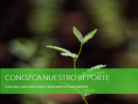 REPORTE DE SUSTENTABILIDAD 2012