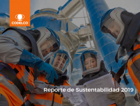 Reporte de Sustentabilidad 2019