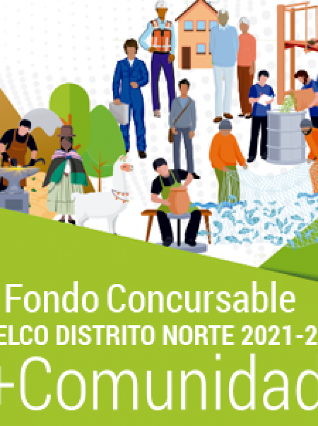 Resultados del Fondo concursable + Comunidad