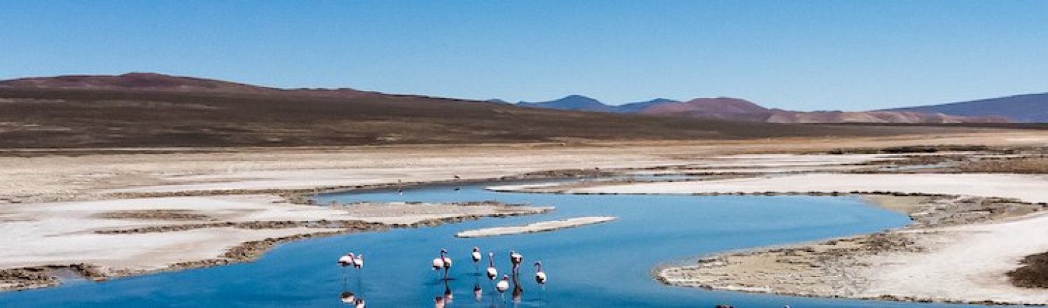 Compromisos Salar de Pedernales