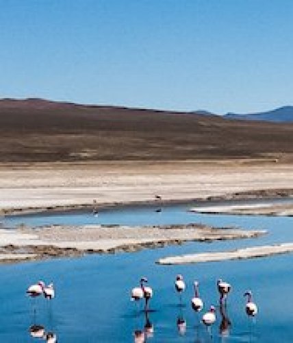 Compromisos Salar de Pedernales