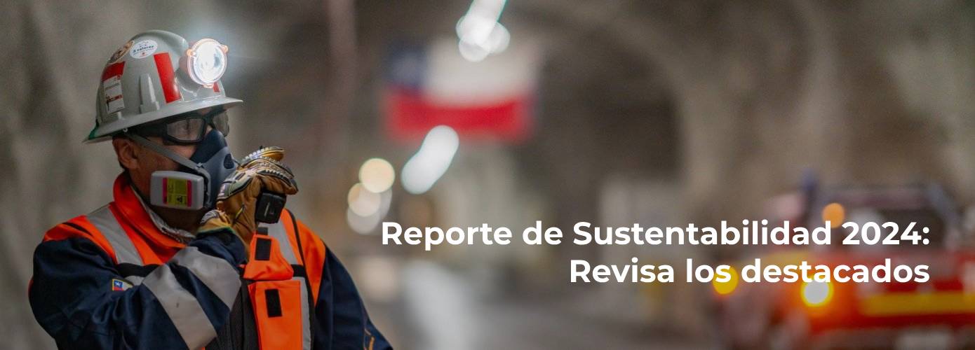 Reporte de Sustentabilidad 2024: Revisa los destacados