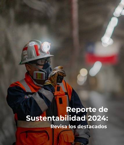 Reporte de Sustentabilidad 2024: Revisa los destacados