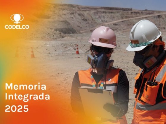 Integrated Memory 2025