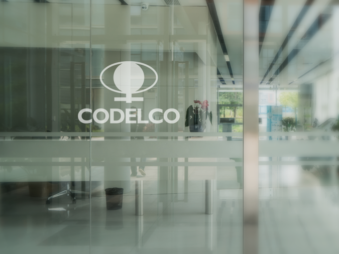 Tribunal acoge cautela de garantías solicitada por Codelco