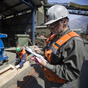 Seguridad y Salud Ocupacional