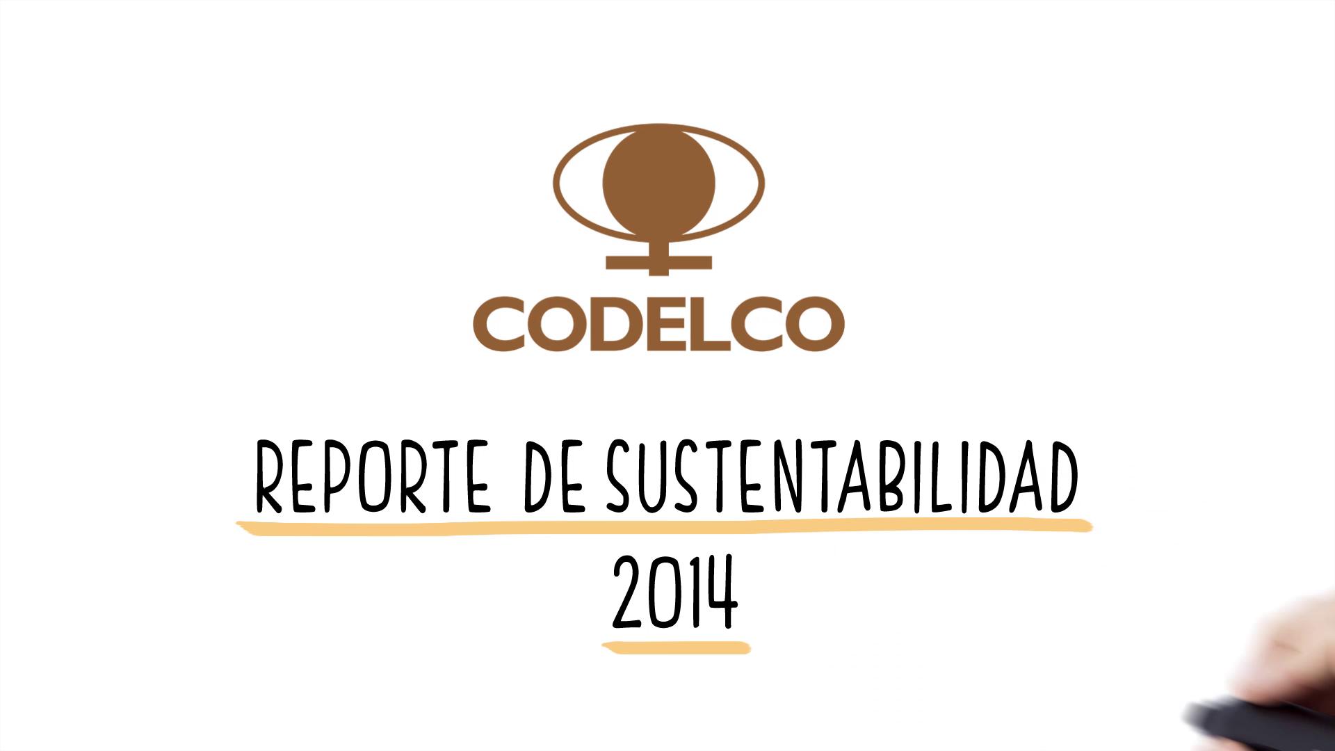 Reporte CODELCO 2015_vFINAL_3 esp